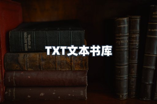 TXT文本书库